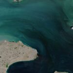 US blockade of Hormuz successful despite media reports suggesting otherwise, maritime expert says