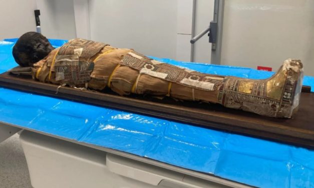 CT scans reveal age, authenticity of child mummy housed in Polish museum for over a century – study