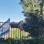 Independence Day: Israel’s sirens signal danger, loss – and a wake-up call