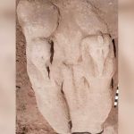 Partial statue of Ramesses the Great found in ancient Egyptian capital city along Nile