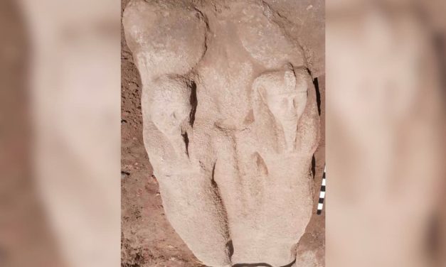 Partial statue of Ramesses the Great found in ancient Egyptian capital city along Nile