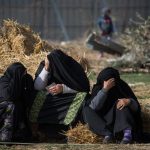 Negev governance crisis: 16,256 women in polygamy, contractors exposed to extortion