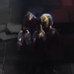 IDF seizes over 20 boats in Gaza flotilla, others turn back