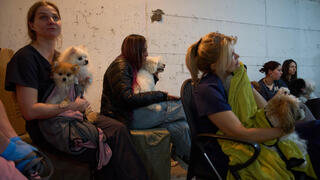 ‘Sat in shelters for nothing’: Israelis welcome Iran ceasefire with mixed feelings