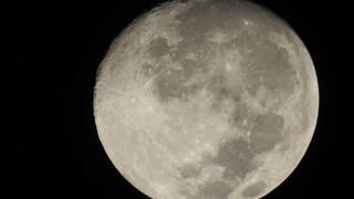 The Moon’s dark secret: shadowed cold traps could unlock the mystery of lunar ice