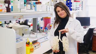 Israeli researcher advances 3D bioprinting toward organ transplants, ‘opening door to better solutions’