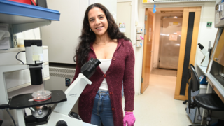 ‘Stress speeds aging but it may be reversible’, Israeli researcher says