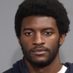 Anti-Israel activist admits to torching 11 NYPD vehicles in arson spree