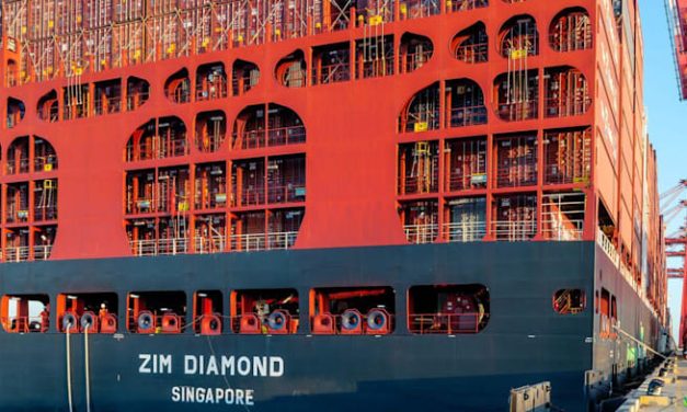 Sakal makes shock bid to buy ZIM