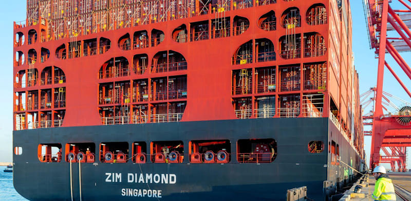 Sakal makes shock bid to buy ZIM