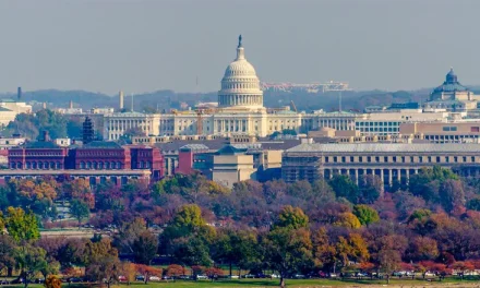 Rabbi’s anti-antisemitism message sparks applause at DC rally