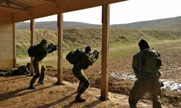 Armed Bedouins wielding clubs attempted to steal ammunition from IDF firing range