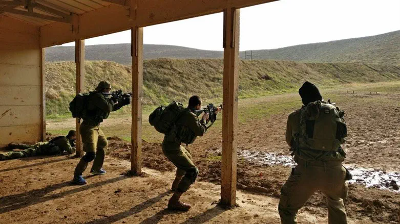 Armed Bedouins wielding clubs attempted to steal ammunition from IDF firing range