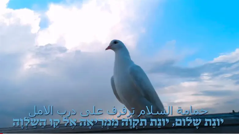 Peace or decisive miliary victory are not ‘around the corner’