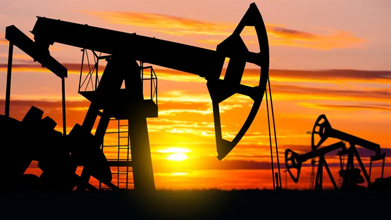 Iraqi Deputy Oil Minister sanctioned over Iran oil operation