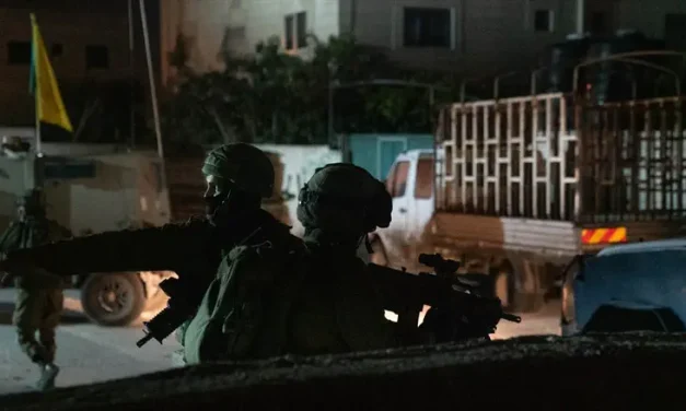 Hebron: Hamas terrorists who planned shooting attack arrested