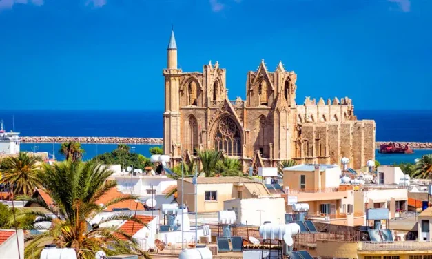 Anti-Israel group sets its sights on Israeli in Cyprus