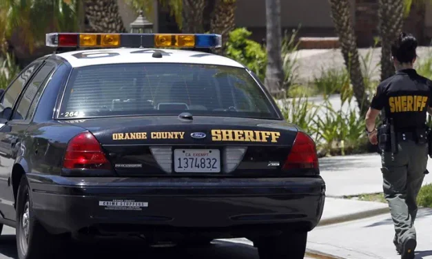 Antisemitic Attack: Jewish couple attacked with dog and baseball bat