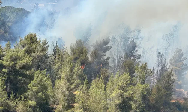 Jerusalem firefighter appeals to haredi parents amid wave of arsons