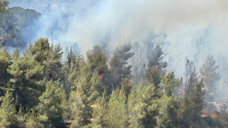 Jerusalem firefighter appeals to haredi parents amid wave of arsons