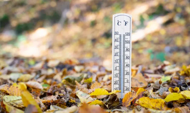 A cold Lag Ba’omer?