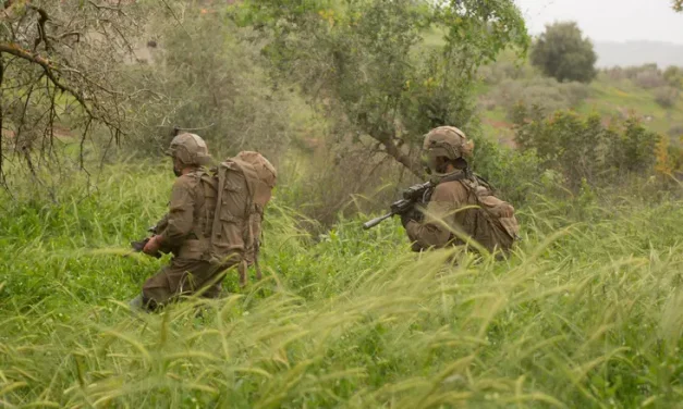 IDF soldiers operating in southern Lebanon infected with ‘cave fever’