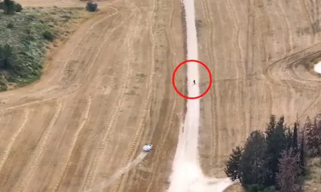 Watch: Tried to flee from the police and were arrested
