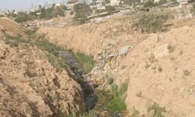 Sewage, blood, waste: Environmental terrorism under the auspices of the Rahat municipality