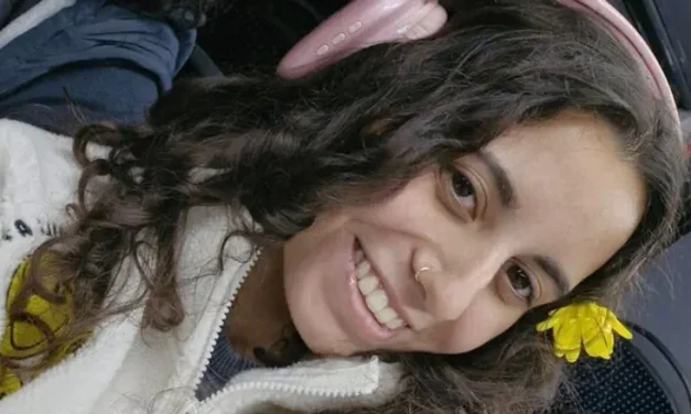 Search underway in Japan for missing Israeli woman