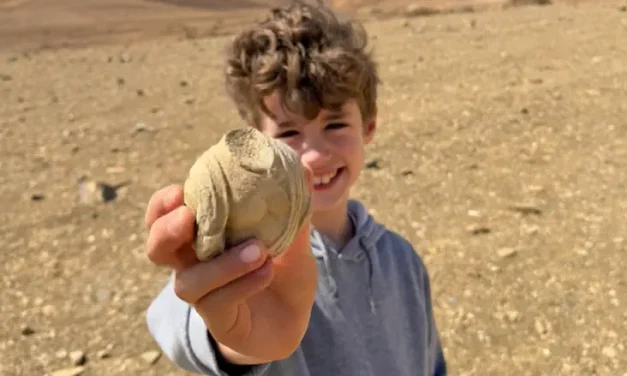 During family trip: Boy makes 1,700 year old archeological discovery