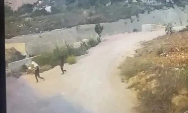 Watch: Suspects throw Molotov cocktails at main highway