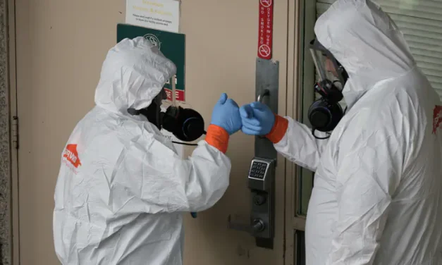 Expert warns: Cruise ship hantavirus outbreak may pose wider threat