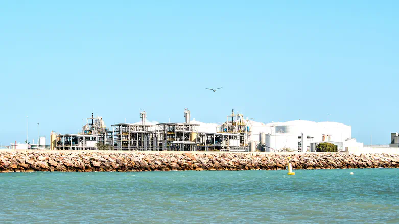 Kharg Island spill likely caused by dumping