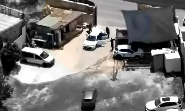 Dramatic footage: Terror attack thwarted during Jerusalem Day celebrations