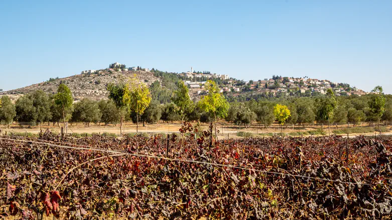 Binyamin Region town gets final name change approval