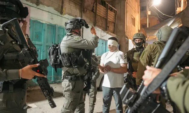 Watch: Teen terrorist who threw explosives at Rachel’s Tomb arrested