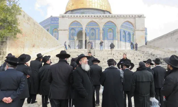 The hasidic rebbe’s surprising ruling