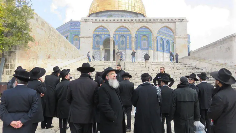 The hasidic rebbe’s surprising ruling