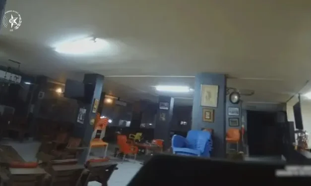 Watch: Undercover forces raid cafe to arrest terror suspect