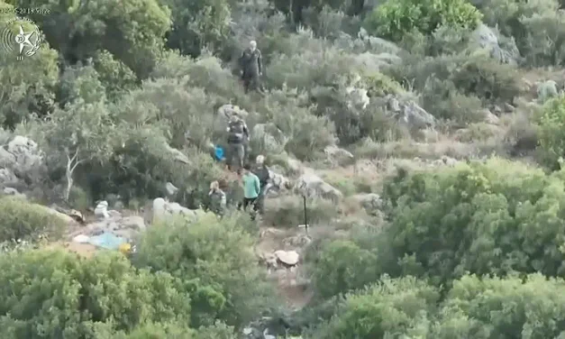 Drone footage reveals: Illegal infiltrators’ forest encampment