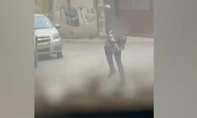 Watch: Caught throwing stones on camera – arrested at work