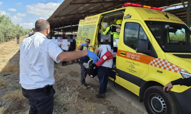 Jezreel Valley: Light aircraft crashes, two unconscious at scene