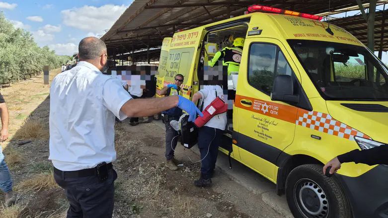 Jezreel Valley: Light aircraft crashes, two unconscious at scene
