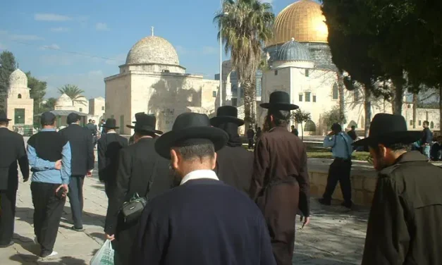 Following uproar: Amshinov hassidic court clarifies Temple Mount ruling