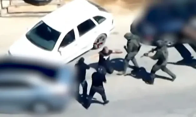 Dramatic arrest of Ido Zoldan’s murderers