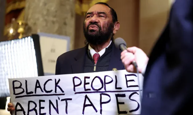 Menefee ousts anti-Trump firebrand Al Green in Texas runoff