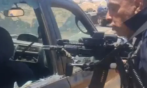 Watch: Police point gun at hilltop youth during clashes near Susiya