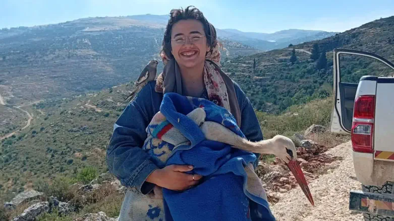 Environmental terror damage: Injured stork rescued and treated by Hilltop residents