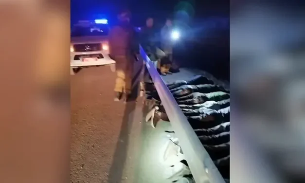 Border Police foil mass infiltration attempt in southern Israel, 42 arrested