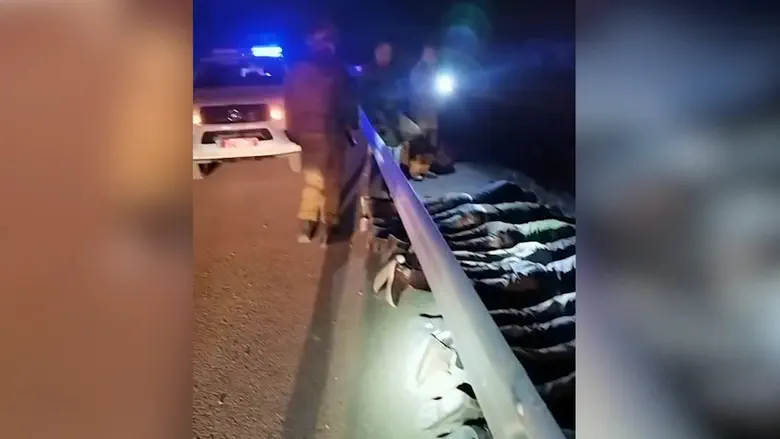Border Police foil mass infiltration attempt in southern Israel, 42 arrested